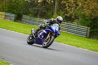 Lower Group Blue Bikes